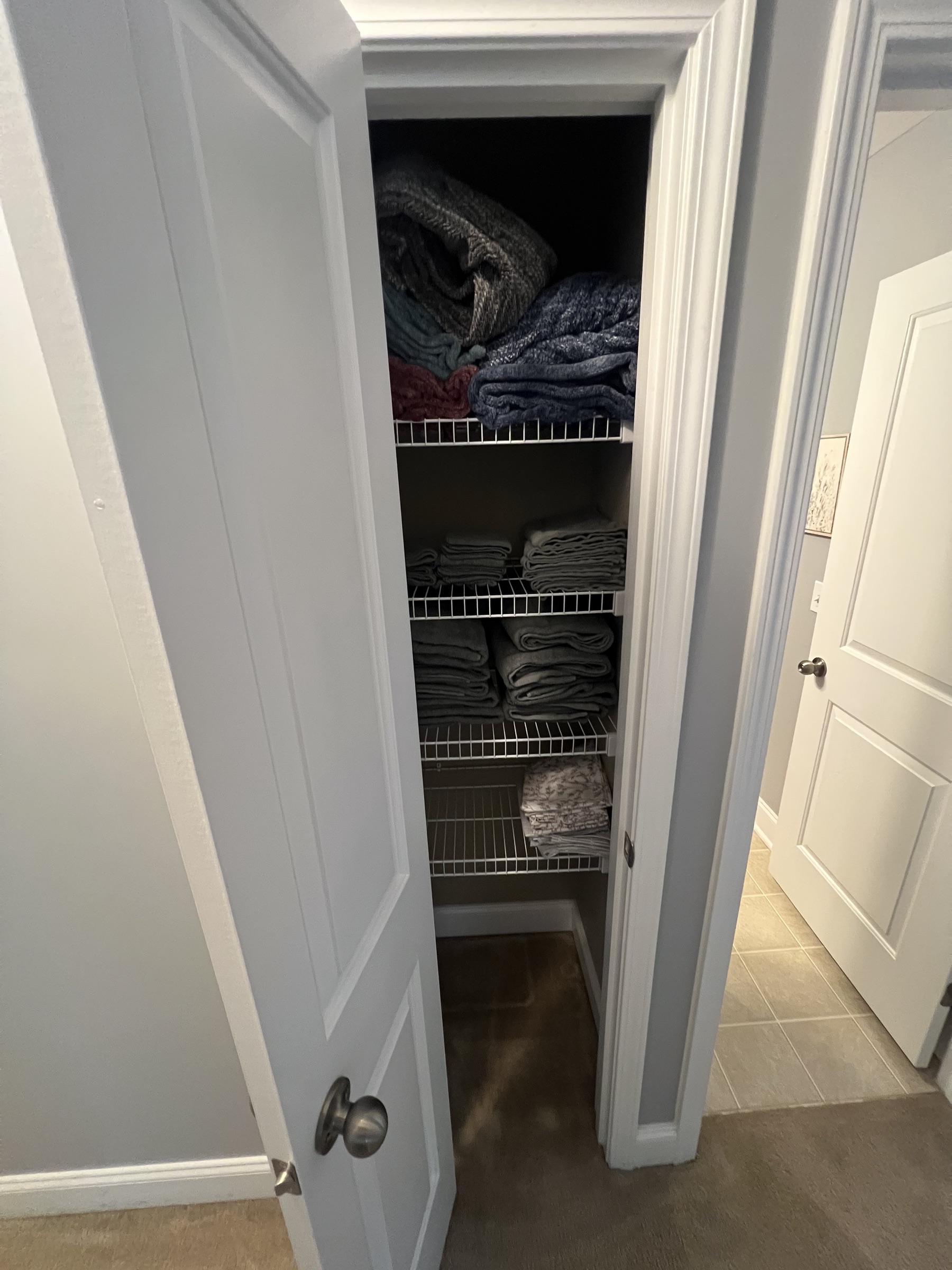 Linen closet with towels